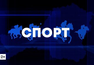 Спортивное за февраль