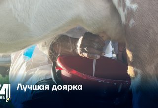 Лучшая доярка