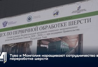 Тува и Монголия наращивают сотрудничество в переработке шерсти