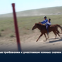 Новые требования к участникам конных скачек на Наадыме