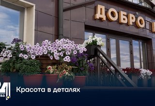 Красота в деталях
