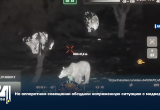 На аппаратном совещании обсудили напряженную ситуацию с медведями