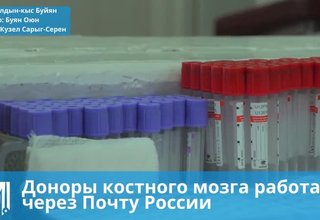 Доноры костного мозга работают через Почту России