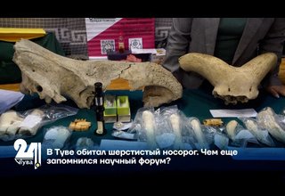 В Туве обитал шерстистый носорог. Чем еще запомнился научный форум?