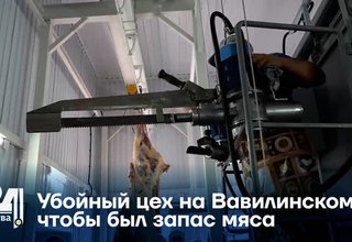 Убойный цех на Вавилинском: чтобы был запас мяса