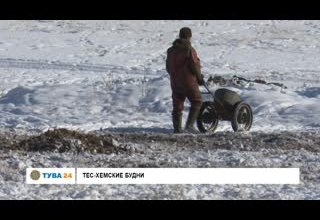 Тес-Хемские будни