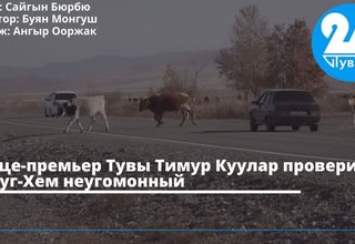 Вице-премьер Тувы Тимур Куулар проверил Улуг-Хем неугомонный