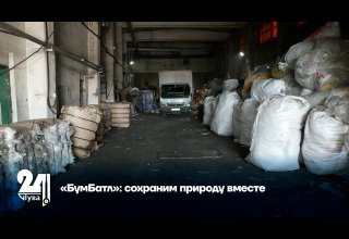 «БумБатл»: сохраним природу вместе