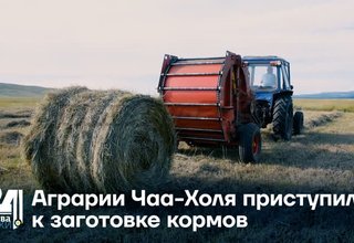 Аграрии Чаа-Холя приступили к заготовке кормов