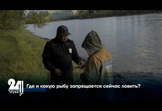 Где и какую рыбу запрещается сейчас ловить?