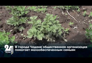 В городе Чадане общественная организация помогает малообеспеченным семьям
