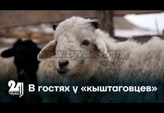 В гостях у «кыштаговцев»