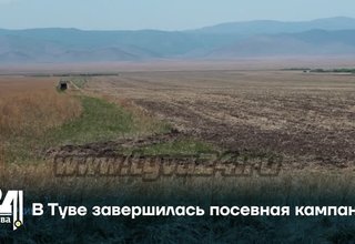 В Туве завершилась посевная кампания