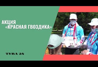 Акция «Красная гвоздика»