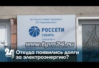 Откуда появились долги за электроэнергию?
