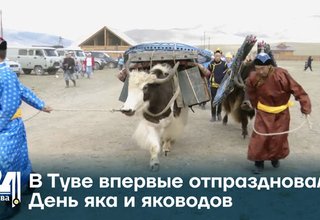 В Туве впервые отпраздновали День яка и яководов