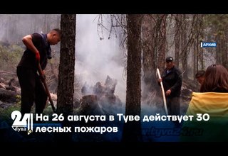 На 26 августа в Туве действует 30 лесных пожаров