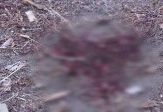 В Туве погибли две несовершеннолетние сестры