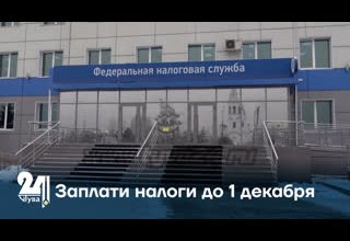 Заплати налоги до 1 декабря