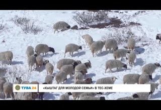 "Кыштаг для молодой семьи" в Тес-Хеме