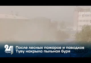 После лесных пожаров и паводков Туву накрыла пыльная буря