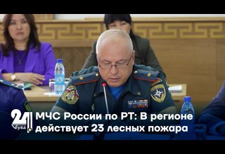 МЧС России по РТ: В регионе действует 23 лесных пожара