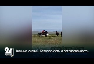 Конные скачки. Безопасность и согласованность