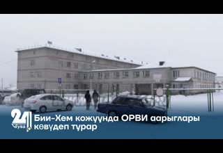 Бии-Хем кожуунда ОРВИ аарыглары көвүдеп турар