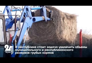В республике стоит задача увеличить объемы муниципального и республиканского резервов грубых кормов