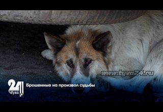 Брошенные на произвол судьбы