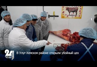 В Улуг-Хемском районе открыли убойный цех
