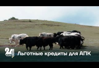 Принято решение о направлении дополнительных средств на льготные кредиты для АПК