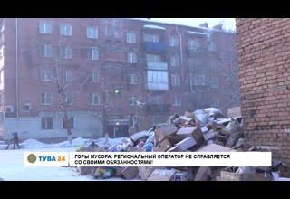 Горы мусора: региональный оператор не справляется со своими обязанностями!