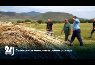 Сенокосная кампания в самом разгаре
