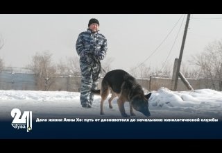 Дело жизни Аяны Хэ: путь от дознавателя до начальника кинологической службы