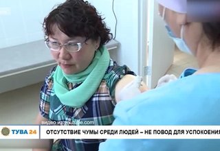 Отсутствие чумы среди людей - не повод для успокоения