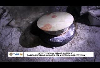 В Улуг-Хемском районе выявлено 5 фактов незаконного оборота алкогольной продукции