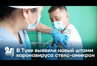 В Туве выявили новый штамм коронавируса стелс-омикрон