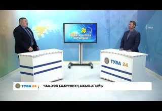 Хүннүң чугула айтырыы: Чаа-хөл кожууннуң ажыл агыйы