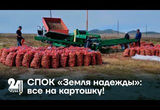 СПОК «Земля надежды»: все на картошку!