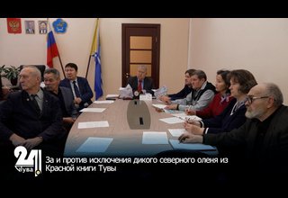 За и против исключения дикого северного оленя из Красной книги Тувы