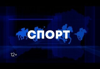 Чемпиону – табун лошадей!