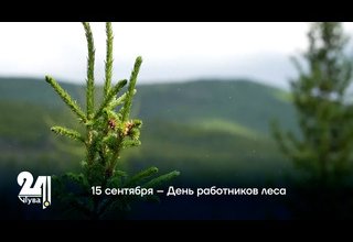 15 сентября – День работников леса