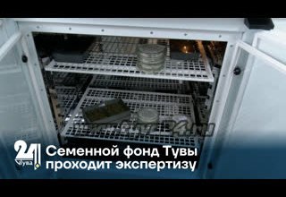 Семенной фонд Тувы проходит экспертизу