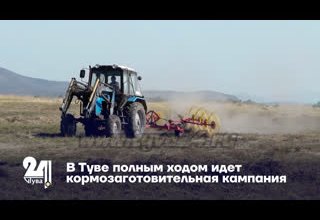 В Туве полным ходом идет кормозаготовительная кампания