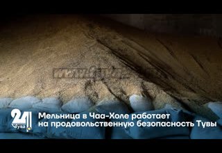 Мельница в Чаа-Холе работает на продовольственную безопасность Тувы