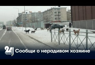 Сообщи о нерадивом хозяине