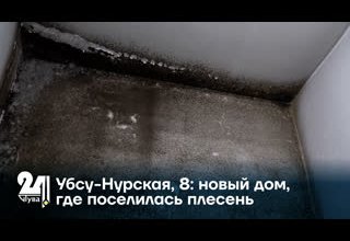 Убсу-Нурская, 8: новый дом, где поселилась плесень