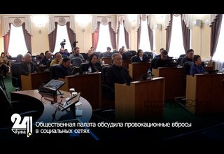 Общественная палата обсудила провокационные вбросы в социальных сетях