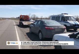 В Туве местный житель признан виновным в незаконном обороте наркотиков в крупном размере